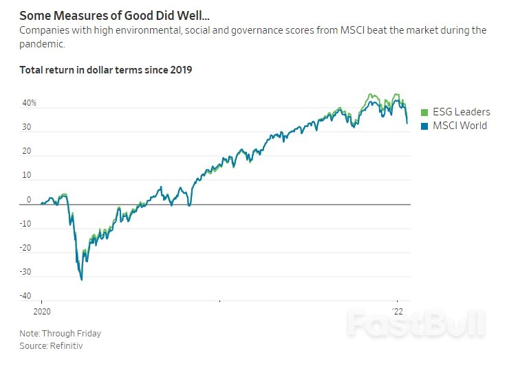 Why the Sustainable Investment Craze Is Flawed_2