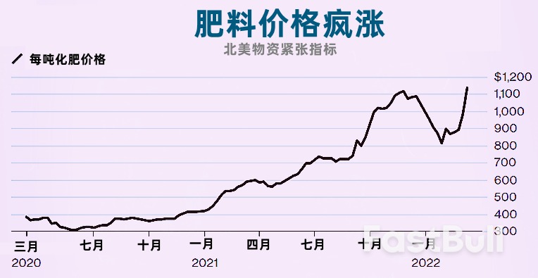 俄乌战争持续，可能引发全球粮荒_1