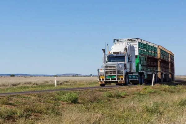 Food Chain Problems How Climate Change Will Disrupt Our Food Supply Chains and Drive ...
