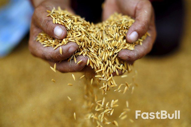 警报仍未解除！全球农机巨头警告：粮食危机恐延续至明年_1