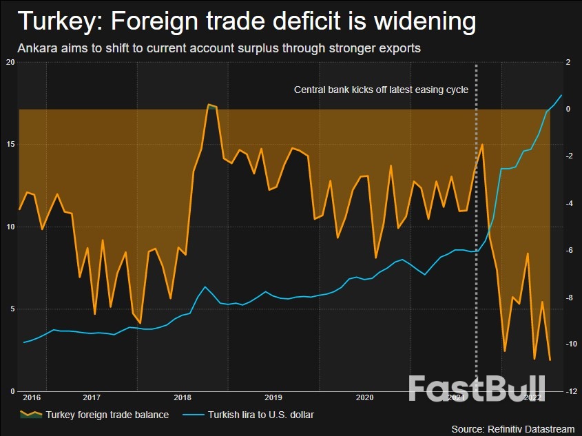 Bearing the Scars: One Year of Turkey's Unorthodox Easing Cycle_4