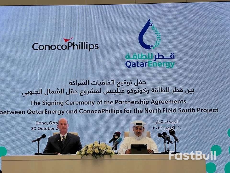 卡塔尔“将政治和贸易分开”,签署协议向德国供气15年_1 卡塔尔“将政治和贸易分开”,签署协议向德国供气15年_1