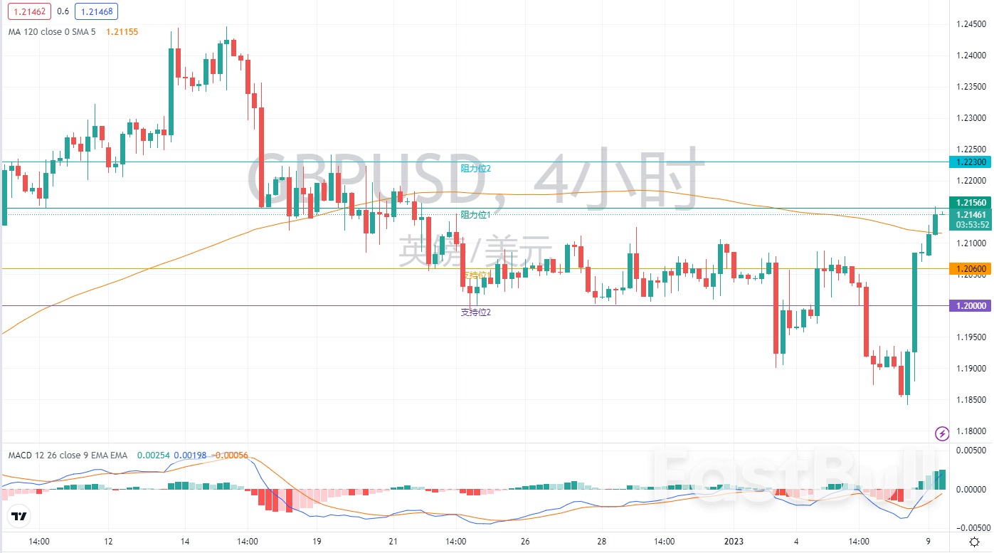 外汇市场分析：欧元、英镑及日元（1月9日）_3