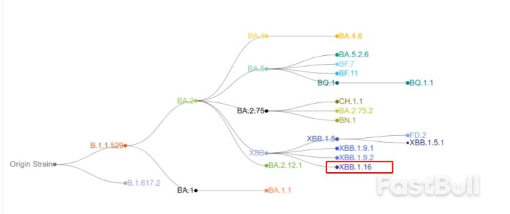 下一個全球“毒王”來襲?傳播效率高出同系病毒逾1倍全球29國淪陷_1 下一個全球“毒王”來襲?傳播效率高出同系病毒逾1倍全球29國淪陷_1