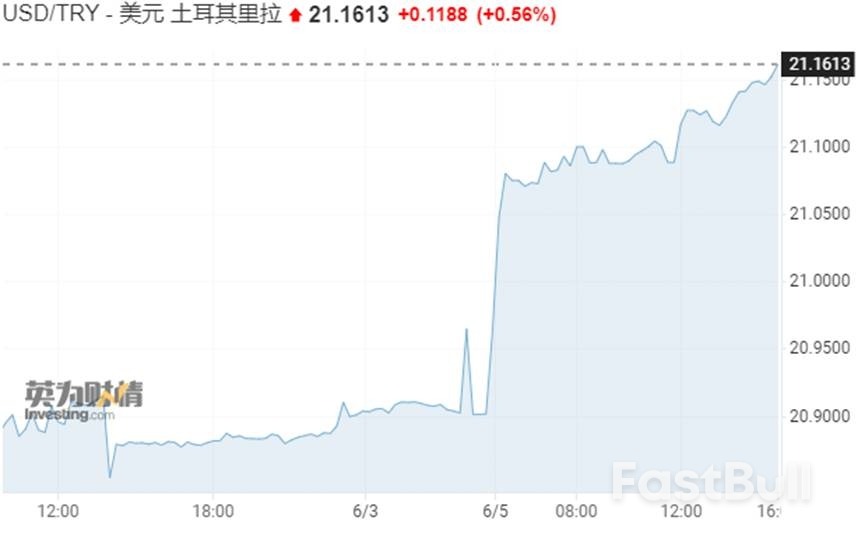 土耳其经济政策将回归传统?新任财长引发华尔街集体期待_1 土耳其经济政策将回归传统?新任财长引发华尔街集体期待_1