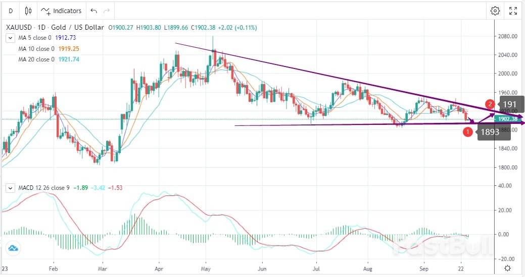 XAUUSD: Dollar Hits Another Record High, and Gold Falls to an Important Mark_1 XAUUSD: Dollar Hits Another Record High, and Gold Falls to an Important Mark_1
