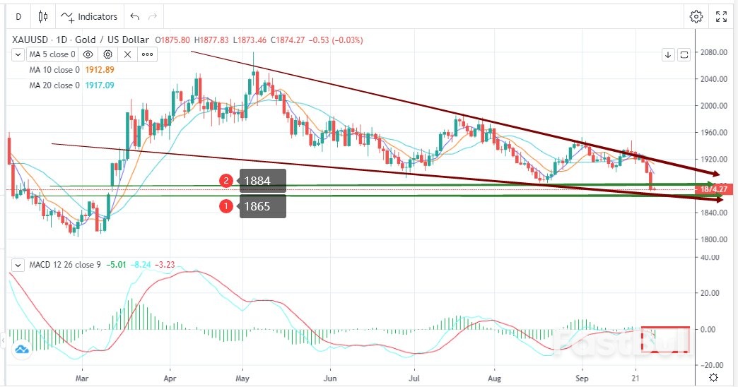 Dollar Overwhelms All Other Assets with Support from Fundamentals _1 Dollar Overwhelms All Other Assets with Support from Fundamentals _1
