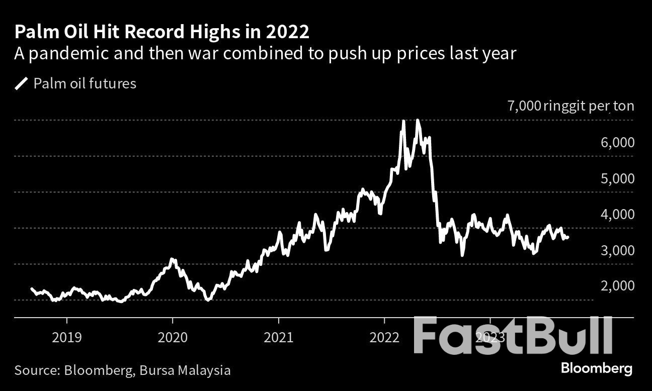 Ageing Palm Trees Show a Crisis Looms for The World's Everything Oil_2