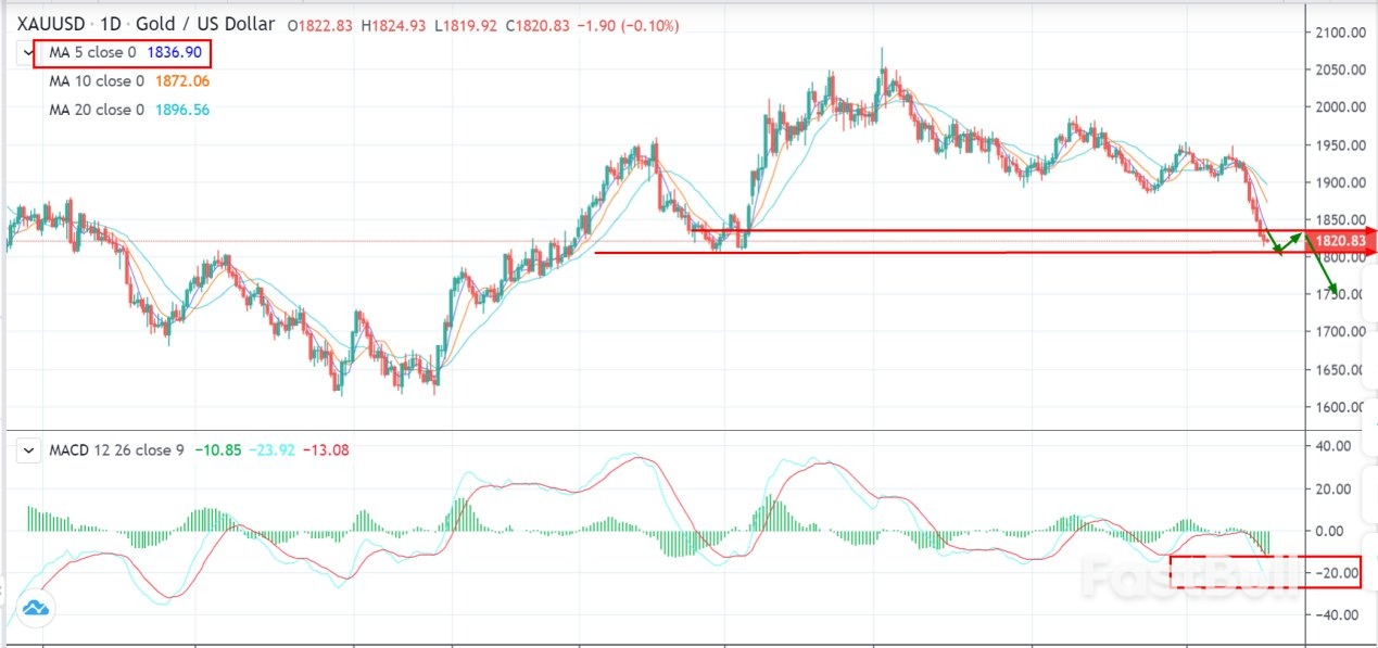 The Decline in Gold Prices Slows, with No Signs of Stopping _1 The Decline in Gold Prices Slows, with No Signs of Stopping _1