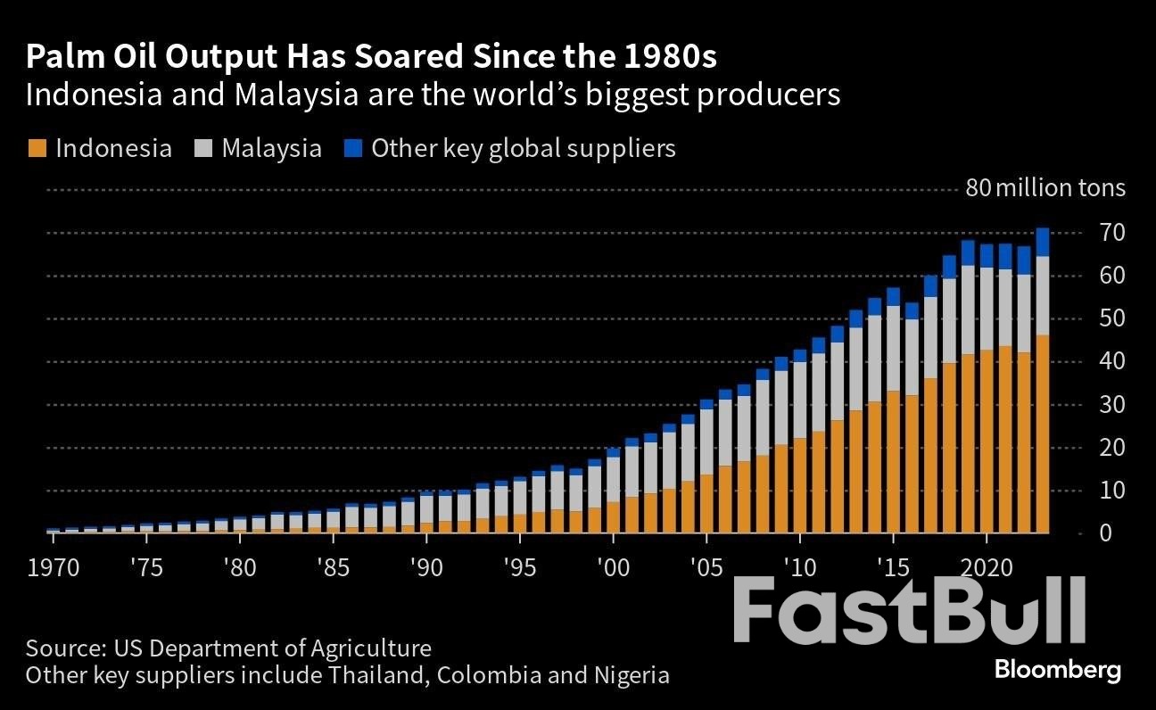 Ageing Palm Trees Show a Crisis Looms for The World's Everything Oil_1