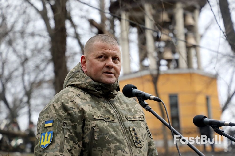 扎卢日内和泽连斯基,各有各的苦水_2 扎卢日内和泽连斯基,各有各的苦水_2