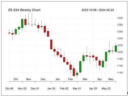 黑海地區天氣影響下,小麥價格飆升_4 黑海地區天氣影響下,小麥價格飆升_4