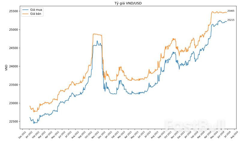 VND đối mặt áp lực từ khả năng phục hồi của USD trong nửa cuối 2024_1