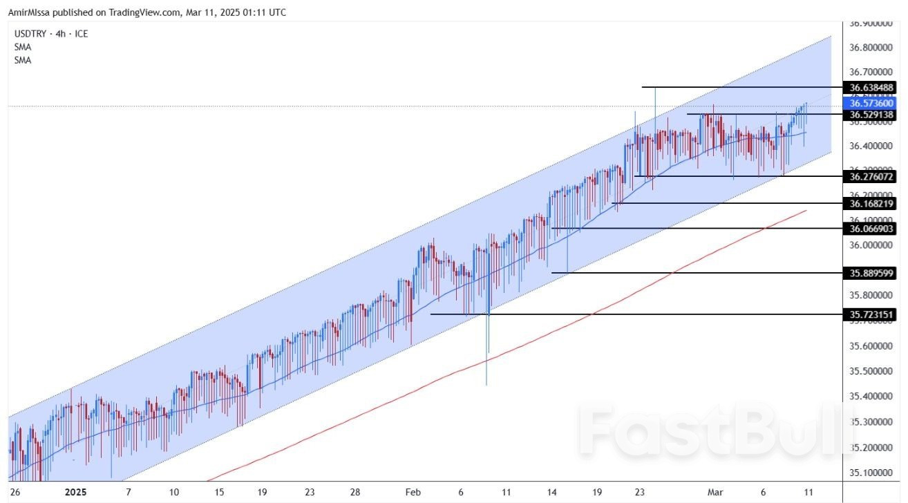 التوقعات اليومية لسعر الليرة التركية: تقرير بلومبرج يكشف عن تراجع الاستثمارات الإماراتية في تركيا_1