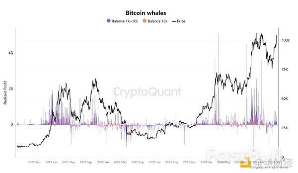 现货比特币ETF流入量下降,但BTC巨鲸预示牛市加速_5 现货比特币ETF流入量下降,但BTC巨鲸预示牛市加速_5