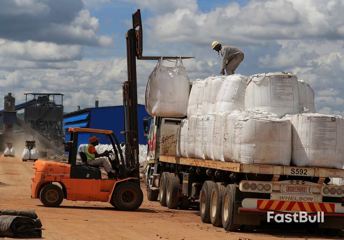 津巴布韦将于2027年起禁止锂精矿出口_1