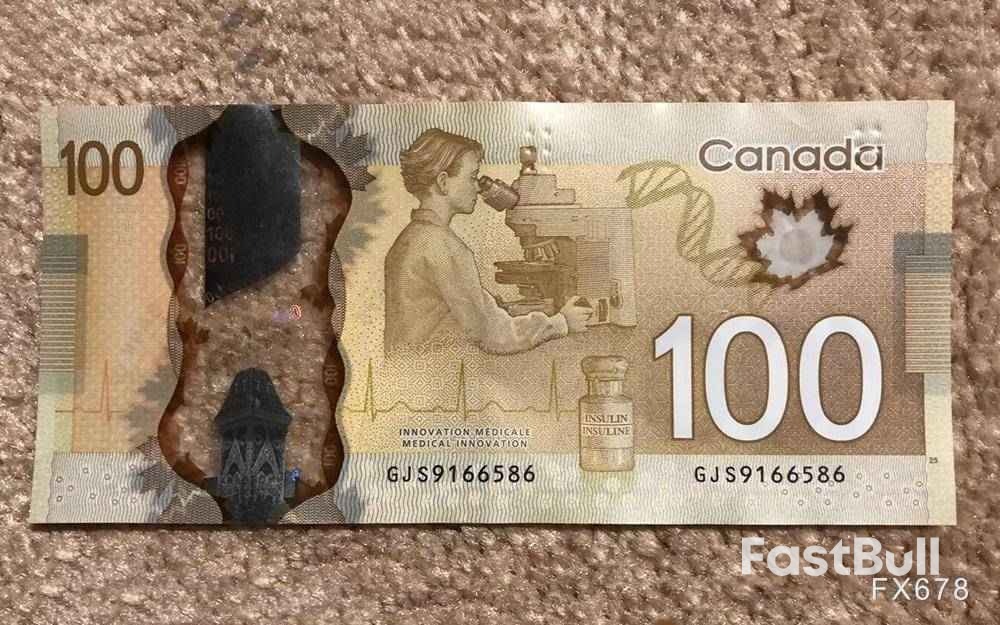 年内新低后何去何从?美元/加元行情观察_1 年内新低后何去何从?美元/加元行情观察_1