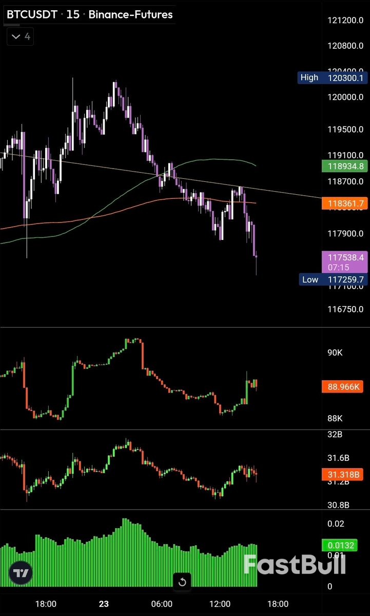 Bitcoin Grabs Bid Liquidity as BTC Price Dip Targets Include $113K_2