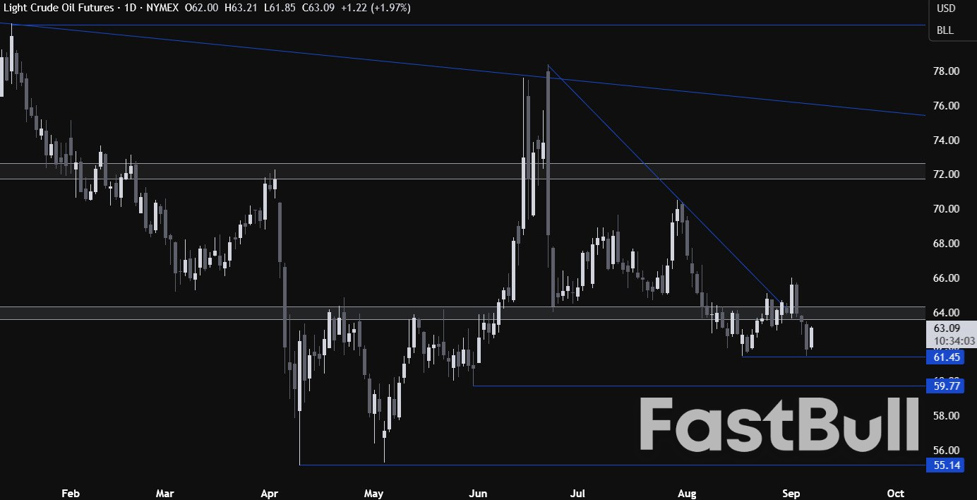 Crude oil bounces back amid a more cautious OPEC+ guidance and threat of sanctions_1