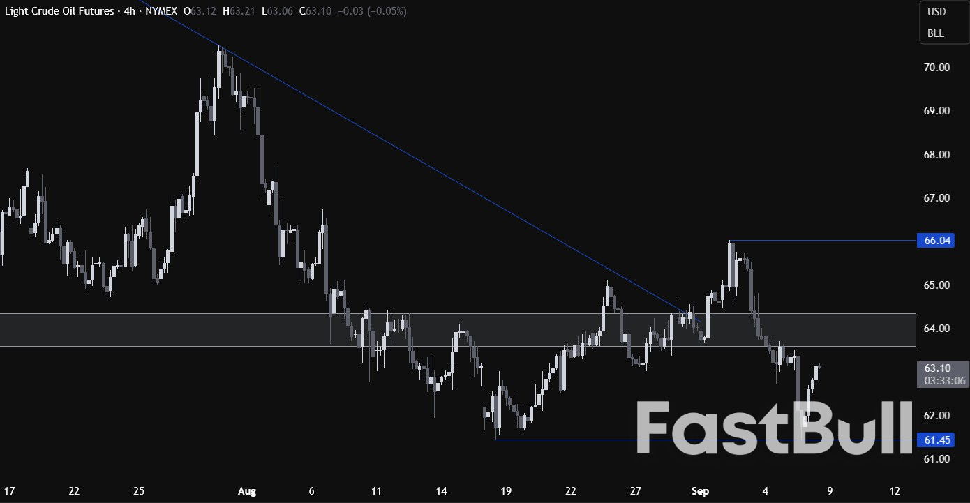Crude oil bounces back amid a more cautious OPEC+ guidance and threat of sanctions_2