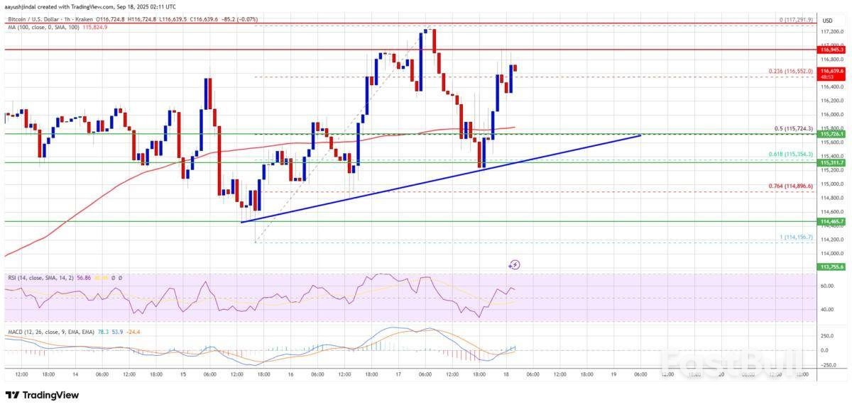ราคา Bitcoin เผชิญการทดสอบครั้งใหญ่ – แรงต้านอาจตัดสินการเคลื่อนไหวครั้งต่อไป_1