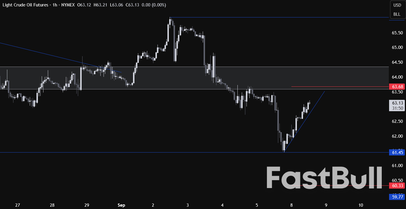 Crude oil bounces back amid a more cautious OPEC+ guidance and threat of sanctions_3