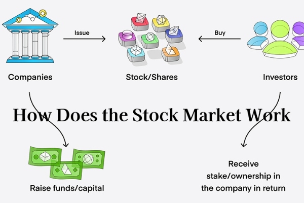 How Does the Stock Market Work? Inside the Mechanics of Trading, Prices ...