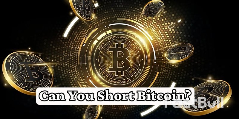 Can You Short Bitcoin? Methods, Risks & Profit Strategies [2025]_1