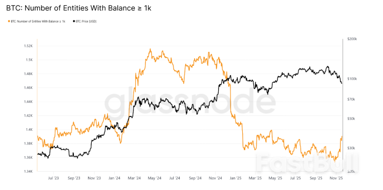 비트코인 91,300달러: 거액 자금이 이 가격 하락에 매수하면서 극심한 두려움이 급증_2 비트코인 91,300달러: 거액 자금이 이 가격 하락에 매수하면서 극심한 두려움이 급증_2