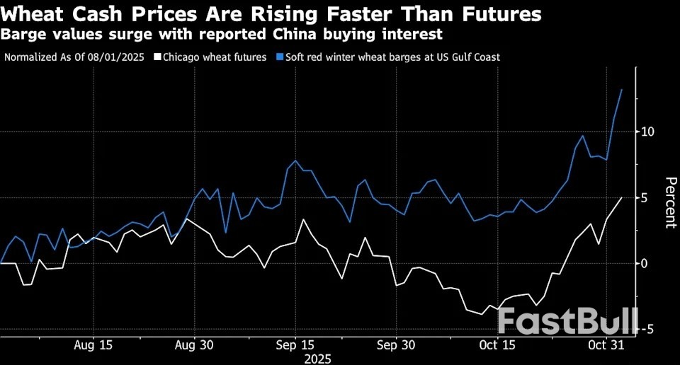 China Seeks to Buy US Wheat for First Time in a Year After Truce_1