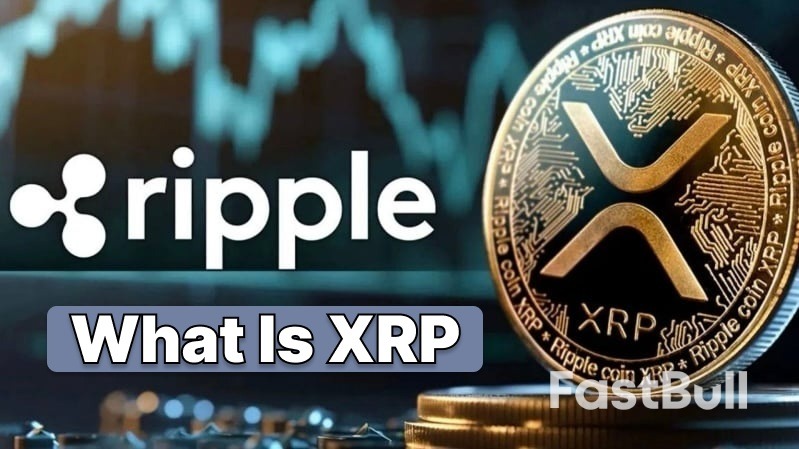What Is XRP: Plain-English Guide for Crypto Beginners (2025)_1