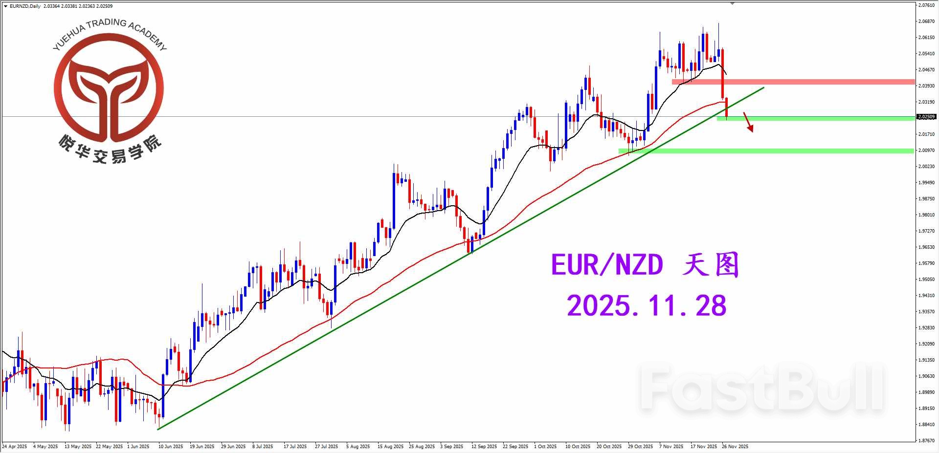 形成头部形态，殴钮转向走弱_1