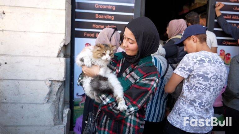 以色列停火期袭击加沙致四巴人死亡_4