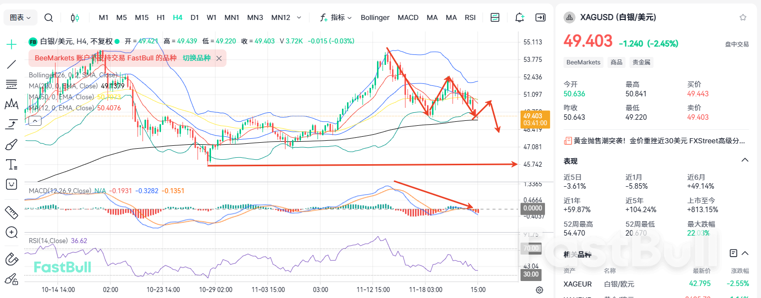 은값 50달러 이하! 폭락할까?_2