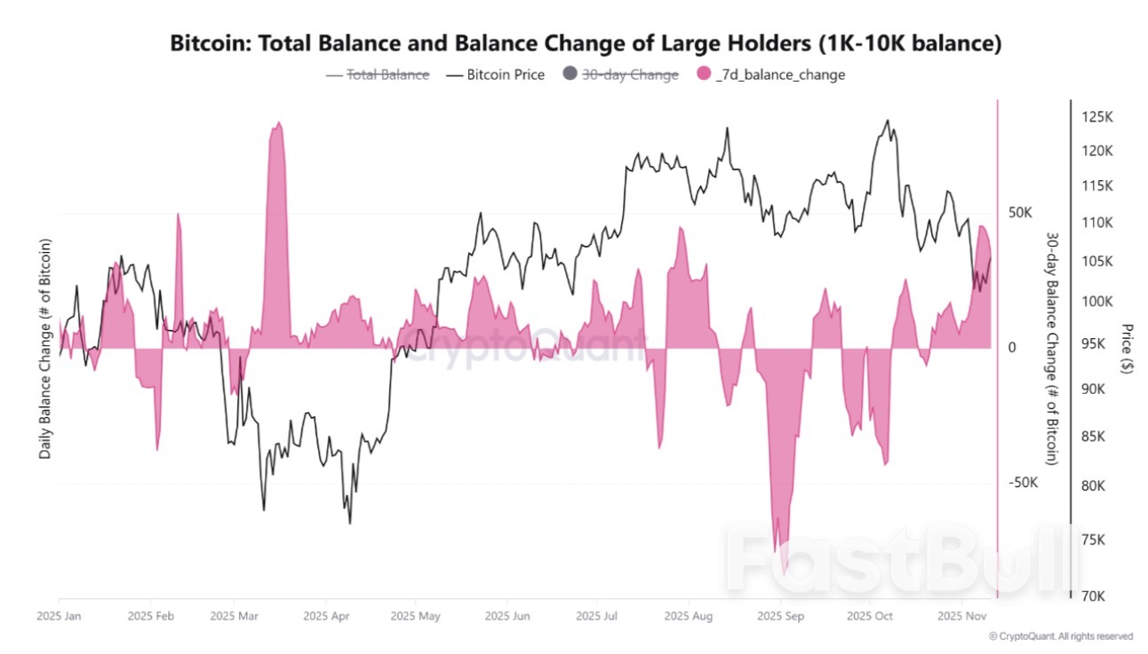 ثاني أكبر تجمع حيتان في البيتكوين يفشل في دفع سعر البيتكوين إلى ما يزيد عن 106 آلاف دولار