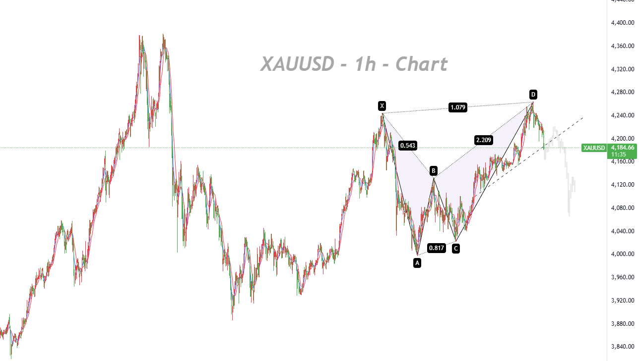 Appearance of a Pinbar Pattern in the 1D Timeframe Signals the End of the Current Rebound_1