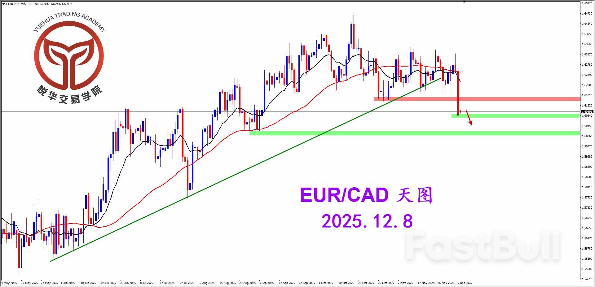 歐加堅決走弱，空頭極端勿追_2