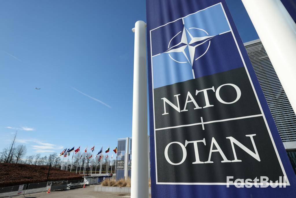 美卿缺席北约外长会凸显跨大西洋裂痕_1