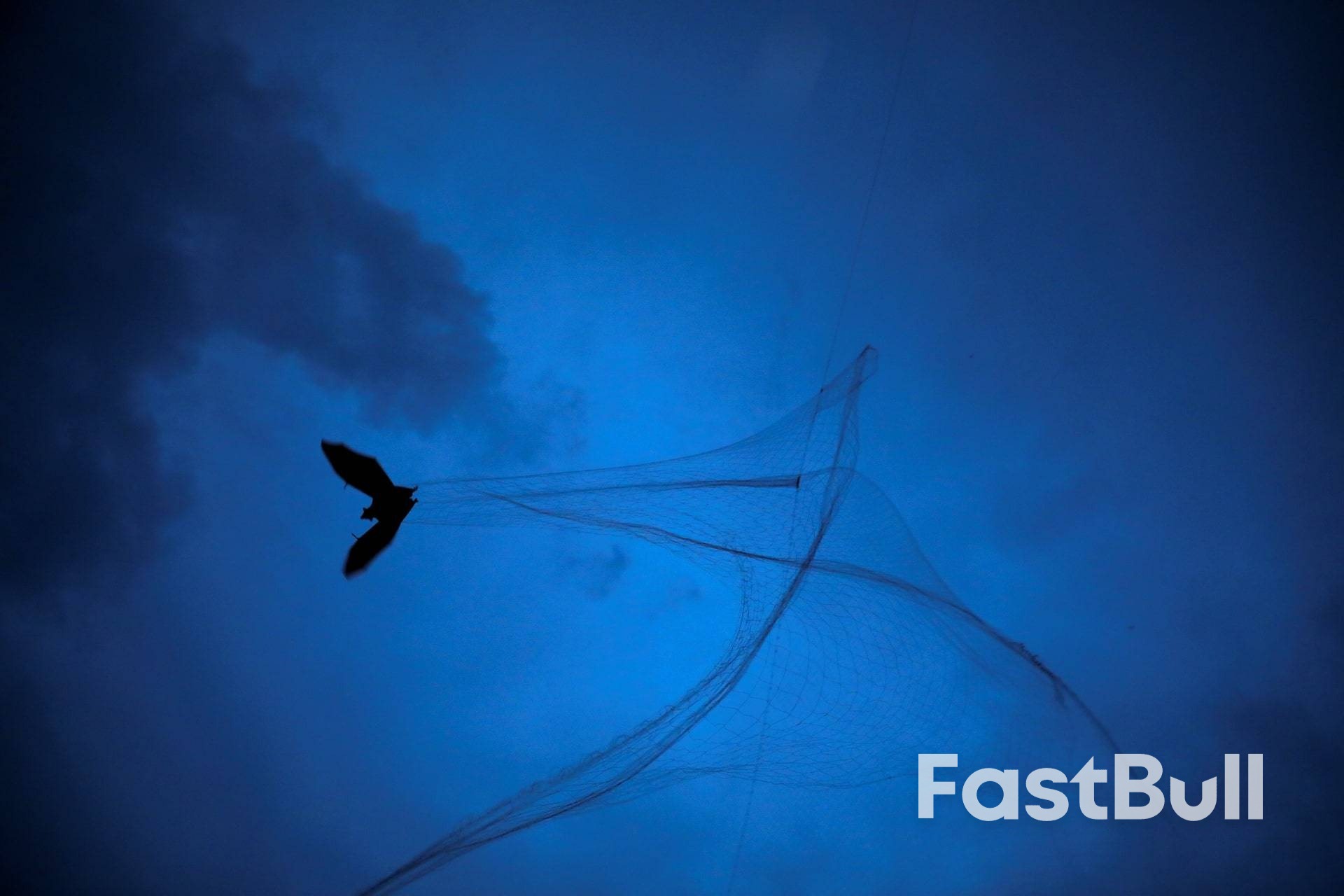 India Reports Two Nipah Virus Infections As Thai, Malaysia Step Up Screening_1 India Reports Two Nipah Virus Infections As Thai, Malaysia Step Up Screening_1