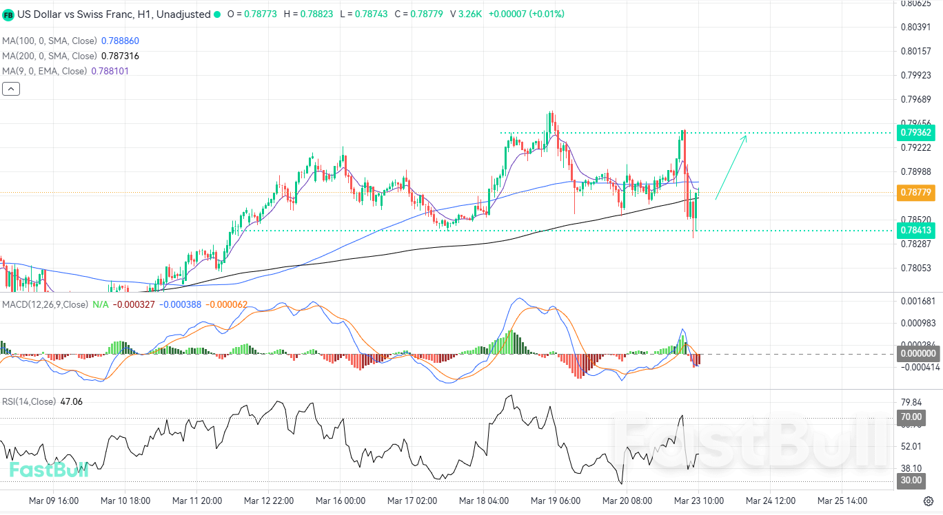 Bulls Poised to Reclaim Dominance Following Tactical Retest of Support_1