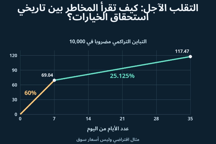 التقلب الآجل: كيف تقرأ المخاطر بين تاريخي استحقاق الخيارات؟_1 التقلب الآجل: كيف تقرأ المخاطر بين تاريخي استحقاق الخيارات؟_1